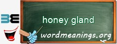 WordMeaning blackboard for honey gland